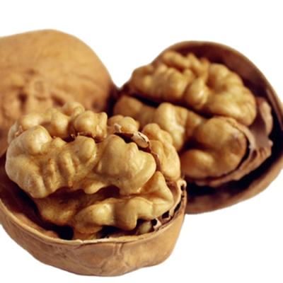 China Customized dry kernel high quality thin-skin dry walnuts 33 raw light walnuts with shell for sale