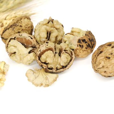 China Excellent Quality Thin-Skin Dried Raw Walnut With Shell In Bulk Wholesale for sale