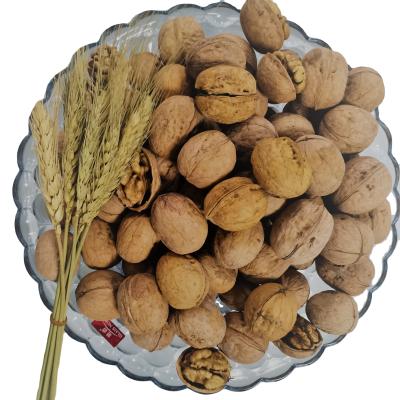 China Nutrition Dried Nuts Kernels, Brown Walnut Kernels, Halves Walnut Kernels for sale