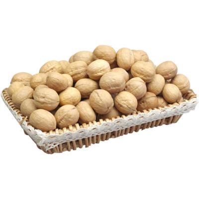 China Best Price 100% Natural Food Walnut Dry Cracking Grade Organic Walnut Kernels for sale