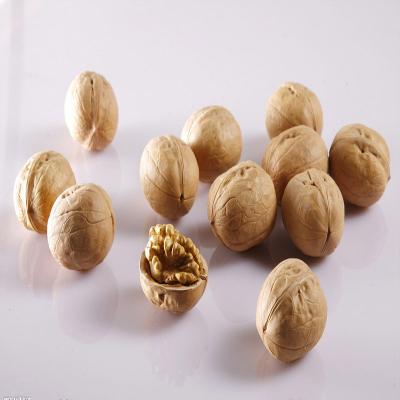 China Wholesale Xinjiang Walnut Kernels 2020 New Crop Walnut Dry Raw for sale