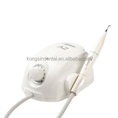 China 0.5A/250V A2 Portable Dental Ultrasonic Scaler with Handpiece Detachable Scaler for sale