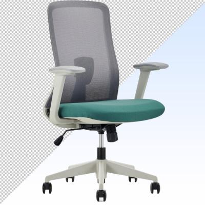 China Adjustable (height) Exclusively curated Lumbar support cushion Chair With Fixed Armrest Pillow For Office Desk for sale