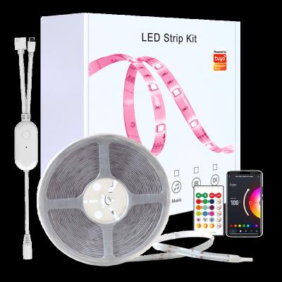 China IP20 Smart LANDSCAPE RGB Strip Light Color Music Remote Control Function Led Strip Light COB Smart Light for sale