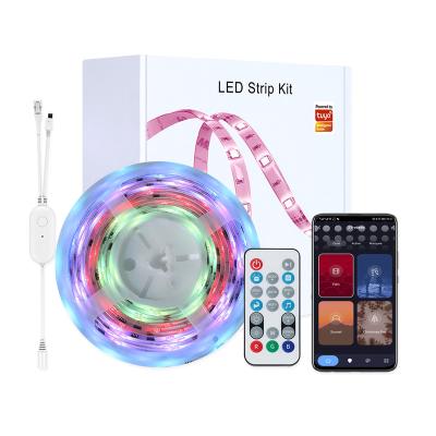 China LANDSCAPE Amazon Alexa Google Home Tuya Music Wifi Controller Smart Flexible IP65 SMD 5050 RGB LED Strip Light for sale