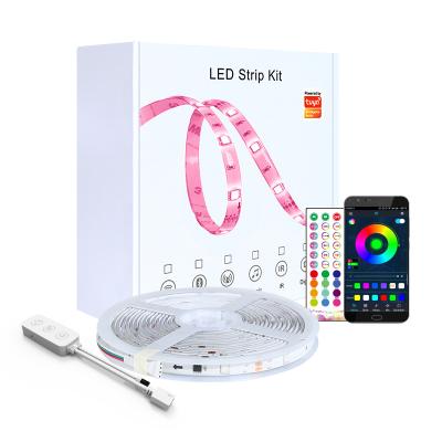 China LANDSCAPE LED Strip Light 12V Voltage SMD 5050 RGB Remote Control Waterproof Backlight W2811b Strip for sale