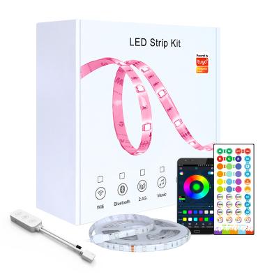 China Flexible LANDSCAPE LED Strip 12V TV Light 5050 RGB Diode Strip Phone BT APP Background Backlight Lights For Room Luces Led for sale