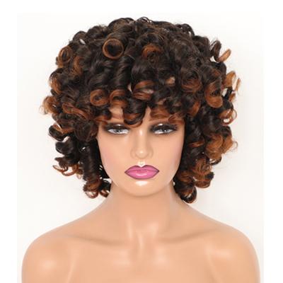 China Best Quality Short Synthetic Wigs Curl Wigs Afro Kinky Kinky Curly Wig For Black Women for sale