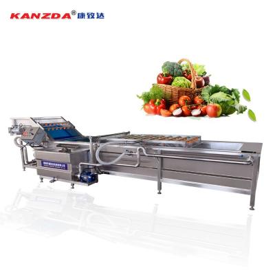 China fruit processing plant vegetable and fruit washing machine/dehydrated vegetable processing equipment/frozen vegetable equipment for sale