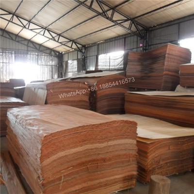 China Contemporary Rotary Cut Plywood Face Veneer PLB Face Veneer for sale