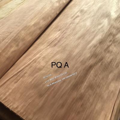 China Contemporary Rotary Cut Plywood Face Veneer PQ Veneer for sale