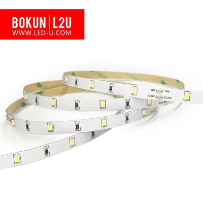 China BOKUN 30pcs/Roll Waterproof LED Strip Light SMD 2835 IP20 LED Strip Lights Light Accessories for sale