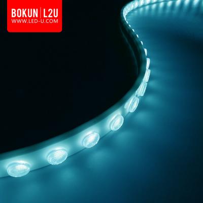 China Factory Price Hotel BOKUN TPU Led Wall Seal Rgbw Lights Strip Light Waterproof IP67 Customized for sale