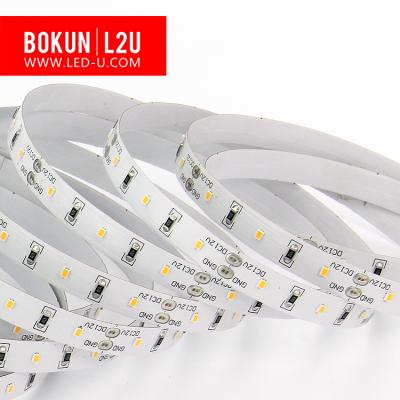 China Flexible LANDSCAPE RA90 SMD2216 LED Strip Light 60LED/M DC12V LED Strip Light Rope Light for sale