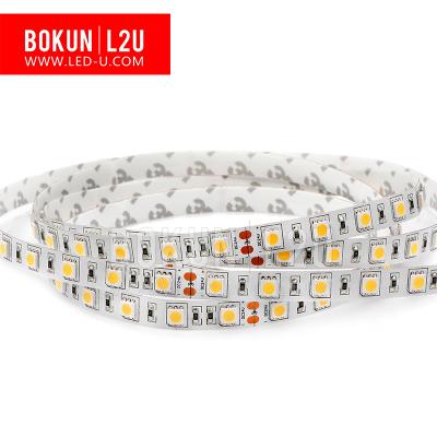 China LANDSCAPE SMD5050 60led/m LED Rope Light Flexible LED Strip Light Warm White Strip Light for sale