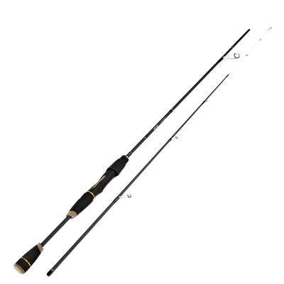 China Carbon FTK Fishing High Carbon Steel Spinning Casting Fishing Pole 2 Section Lure Rod for sale