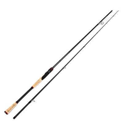 China Carbon FTK Fishing High Carbon Steel Spinning Casting Fishing Pole 2 Section Lure Rod for sale