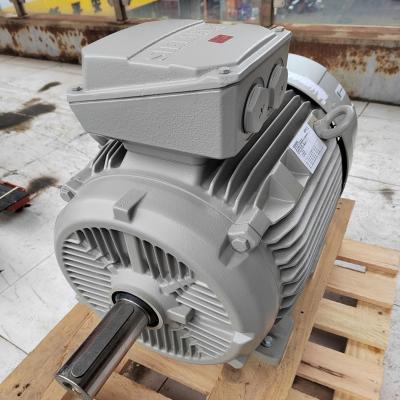 China Siemens AC Totally Enclosed Asynchronous Motor 1LE1003-0DB22-2AB4-Z G11 for sale