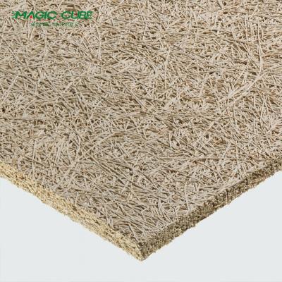 China Rectangle Original Wall Acoustic Wood Wool Board Fire Resistance 2440mm for sale