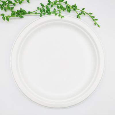 China Disposable Plate Novelty Paper Custom Printing Paper Plates With Low Price Different Sizes for sale