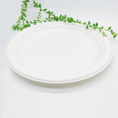 China Disposable Eco Friendly Biodegradable Custom Printed Disposable Paper Plate for sale