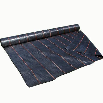 China Anti Weed Weed Cloth Garden Landscaping Cloth Ground Cover Protective Sheet Weed Anti-grass for sale