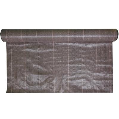 China Permearble Mat With Holes Weed Free Landscape Fabric PP Woven Weed Control for sale