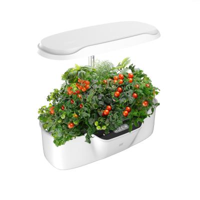 China Modern Mini Potable Pots Led Grow Light Mini Garden You Have The Opportunity To Grow Your Beloved Plants for sale