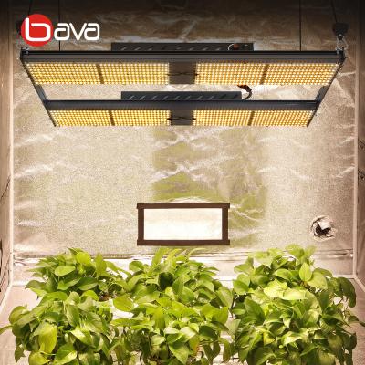 China Seed starting seed starting Bava 480w for growing qb288 led light lm301h led plant growing light for garden greenhouses for sale