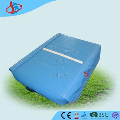 China Blue Sample Exercise Gymnastics Air Mat Durable For Water Sports for sale