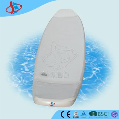 China Surfboard Motorized Inflatable Bumper Boat / Swimming Pool Toys For River for sale