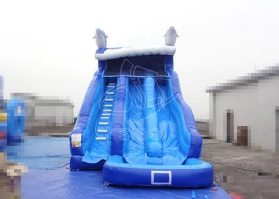 China De blauwe van de Dia'smoonwalk Bouncy van het Peuter Opblaasbare Water Spelen van de het Waterdia Te koop