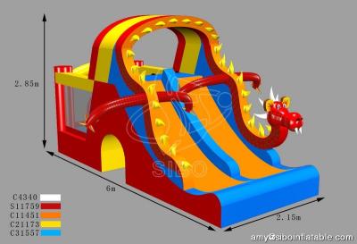 China Customized Kids Inflatable Water Slides Dino Type Double Slide For Park Center for sale