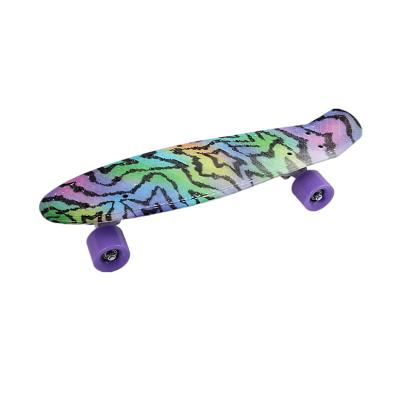 China Youth Standard Skateboard Fashion Plastic Skateboard Gift For Kids for sale