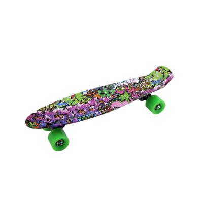 China Youth Water Transfer Printing Skateboard Deck Fish Skateboard Skateboard Pro Mini Colorful Plastic Board for sale