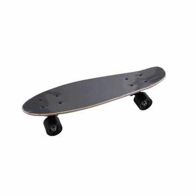 China Best Selling Youth Skateboard Canadian Pro Maple Skateboard Maple Cruiser Complete Skateboard for sale