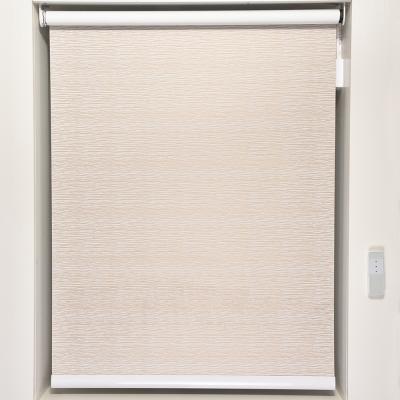 China Blackout Semi Blackout Roller Blinds Window Blind For Shutters High Quality Motorized Roller Blinds for sale