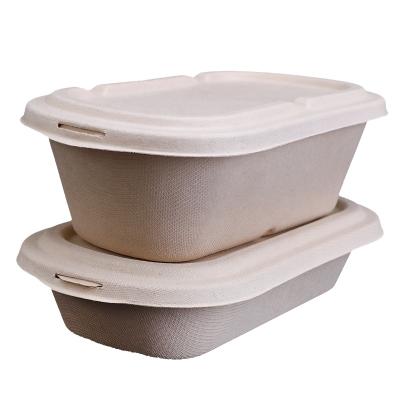 China Disposable Sugarcane Bagasse Takeout Food Container With Lid for sale