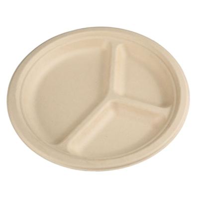 China New CLASSIC Hot-selling Disposable Biodegradable Sugar Cane Pulp Tray With Low Price for sale