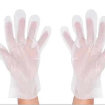 China Eco - Friendly Disposable TPE / CPE Gloves For Food Service for sale