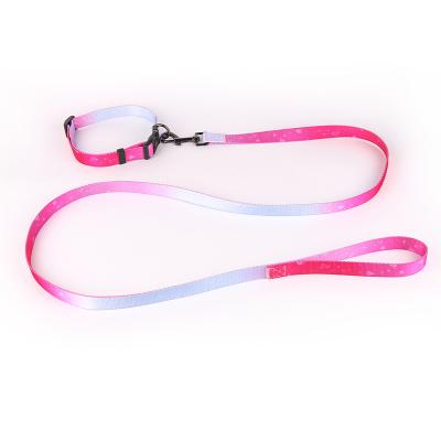 China 2022 Sustainable Pull Rope Pet Collar Hook Set Traction Dog Leash for sale