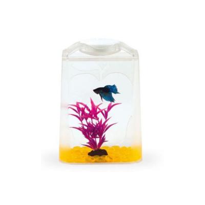 China Viable Acrylic Mini Suit Mini Fish Tank With LED Light Trapezium Acrylic Aquarium Fish Tank for sale