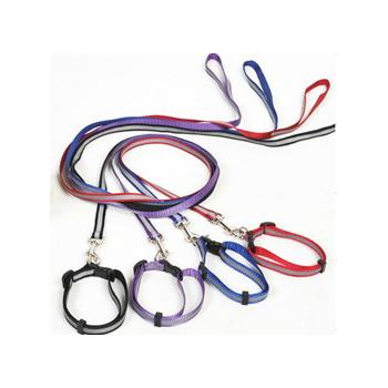 China Customized Free Sample Wholesale Price Dog Black Red Blue Purple Color Puppy Leash Rope for sale