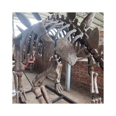 China Theme Park Museum Custom Vivid 3d Exhibit Sregosaurus Life Size Skeleton For Sale for sale