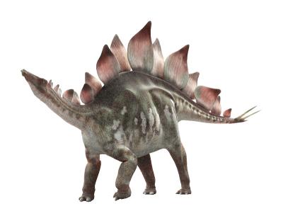 China Hot Selling Custom Made Adult Animation Dinosaur Costume 3D Steel Stegosaurus Costume for sale