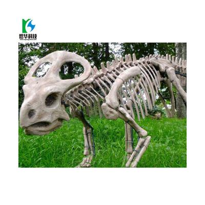 China Hot Selling Good Quality Fiberglass Dinosaur Fossil Fiberglass Animated Artificial Dinosaur Fossil for sale