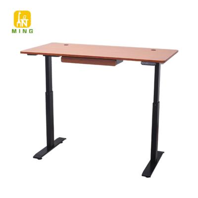 China (Height) Adjustable Factory Directly Sell Electric Standing Desk Motorized Height Adjustable Office Furniture Double Desk Rising Motor for sale