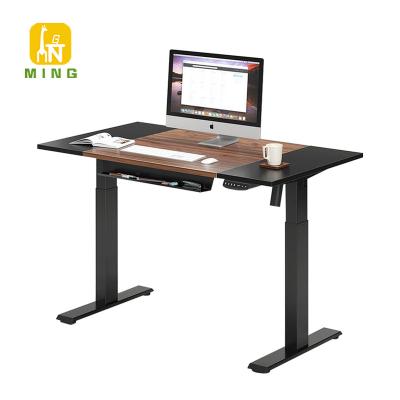 China Factory Direct Double Motor Electric Ergonomic Height Adjustable Wooden Desktop Standing (Height) Table for sale