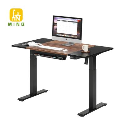 China Factory Direct Double Motor Ergonomic Height Adjustable Wood Electric Computer (Height) Electric Desk Stand Up Desk for sale