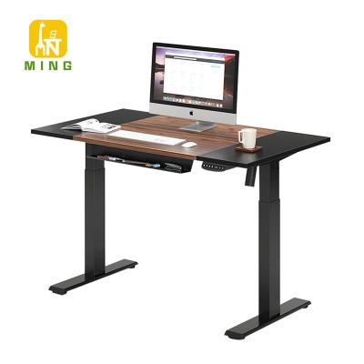 China Dual Motor Ergonomic Electric Height Adjustable Computer Desk Stand Electric (Height) Adjustable (Height) Warranty 5 Years for sale